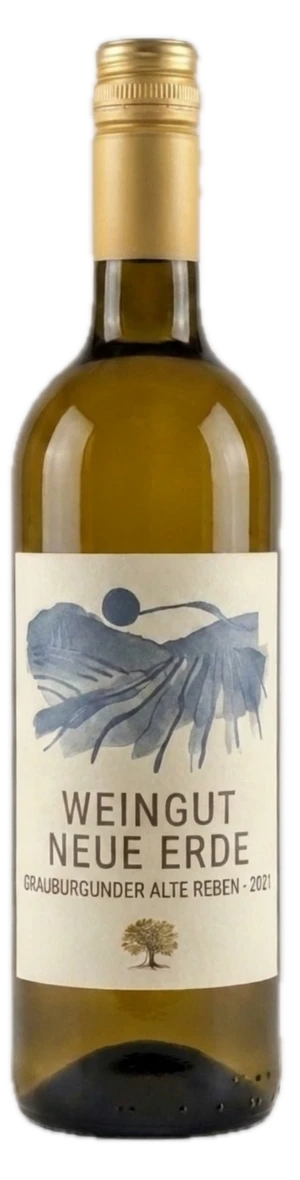 Flasche Alte Reben